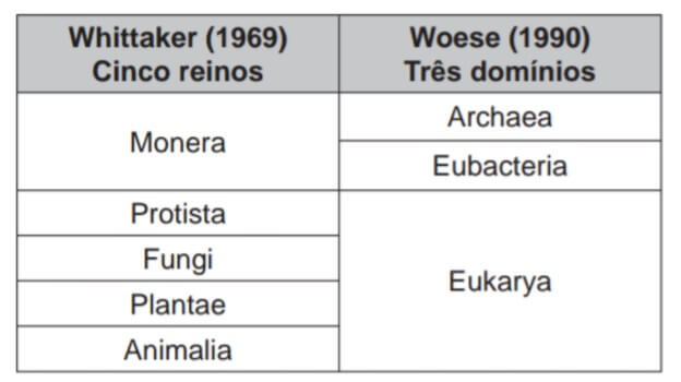 A classificação biológica proposta por Whittaker permite distinguir cinco grandes linhas evolutivas utilizando, como critérios de classificação, a organização celular e o modo de nutrição.