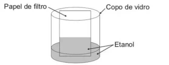 o etanol se desloca sobre a superfície do papel, superando a gravidade que o atrai no sentido oposto, como mostra a imagem.