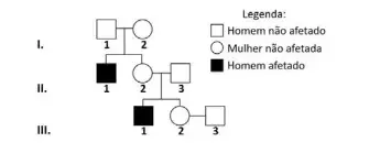 A genealogia a seguir representa uma família em que aparecem pessoas afetadas por adrenoleucodistrofia. A mulher III.2 está grávida e ainda não sabe o sexo do bebê