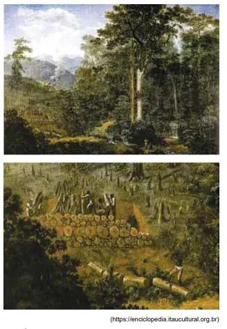 Félix-Émile Taunay chegou ao Brasil em 1816 com a Missão Artística Francesa. No quadro e no seu detalhe seguinte, o pintor representa 