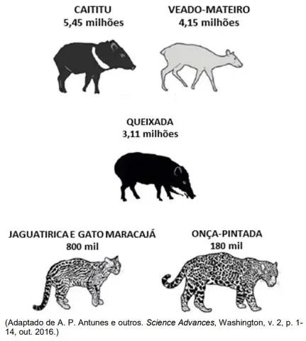 A figura a seguir indica o número total de animais terrestres mortos no período de 1904 a 1969