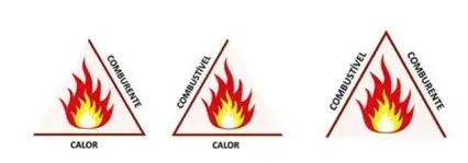 O Brasil ardeu em chamas em 2020. Muitas soluções foram propostas, incluindo o uso do “boi bombeiro”, porém nem todas eliminam de fato um dos três componentes que mantêm o fogo:
