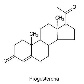 A seguir, são ilustradas estruturas de dois compostos orgânicos que atuam como hormônios