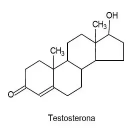 A seguir, são ilustradas estruturas de dois compostos orgânicos que atuam como hormônios